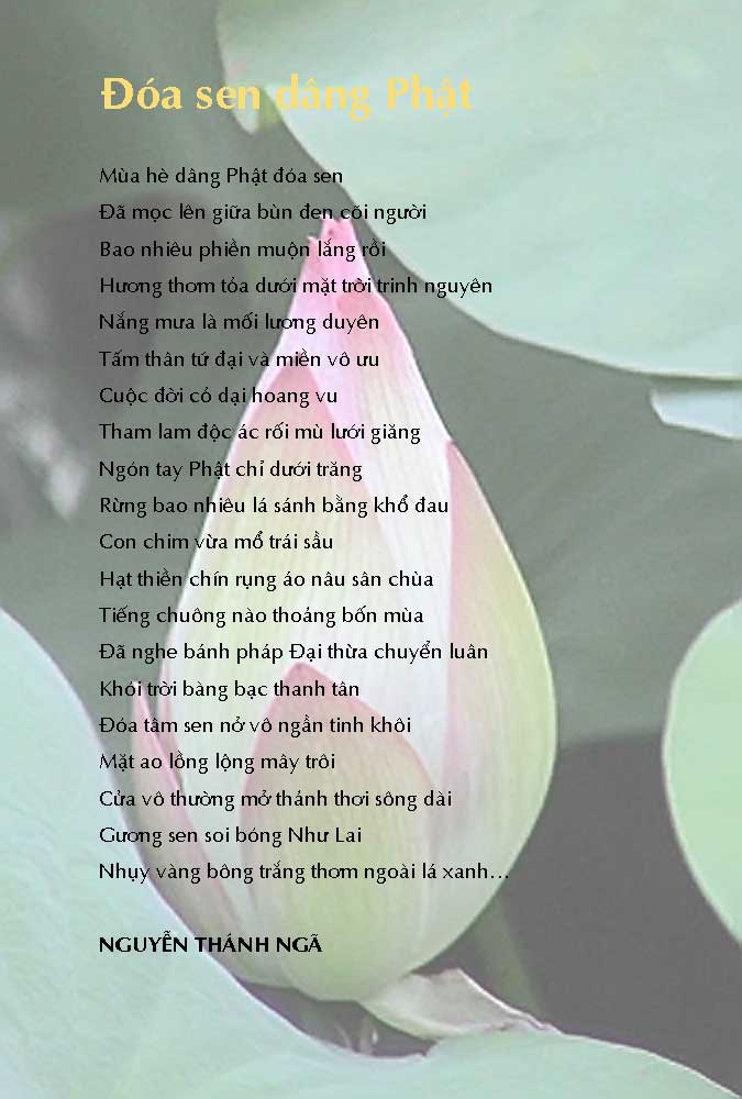 Doa sen dang Phat